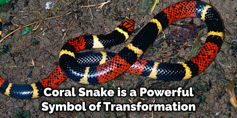 Coral Snake is a Powerful Symbol of Transformation