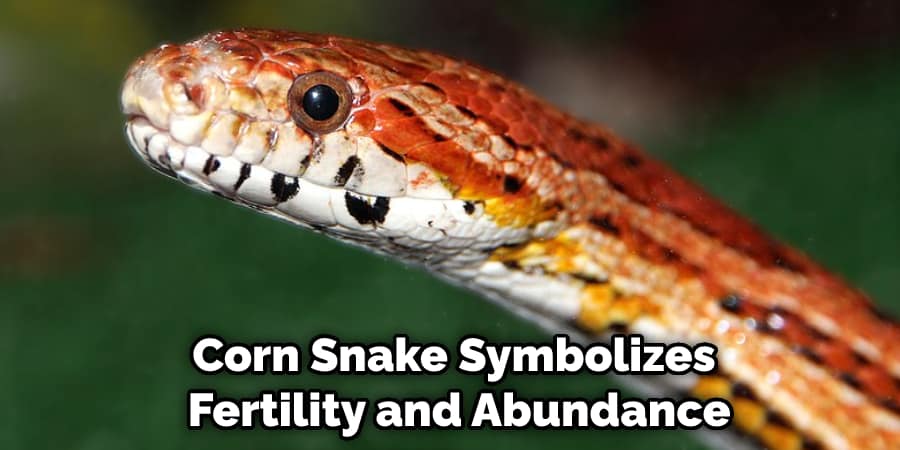 Corn Snake Symbolizes Fertility and Abundance