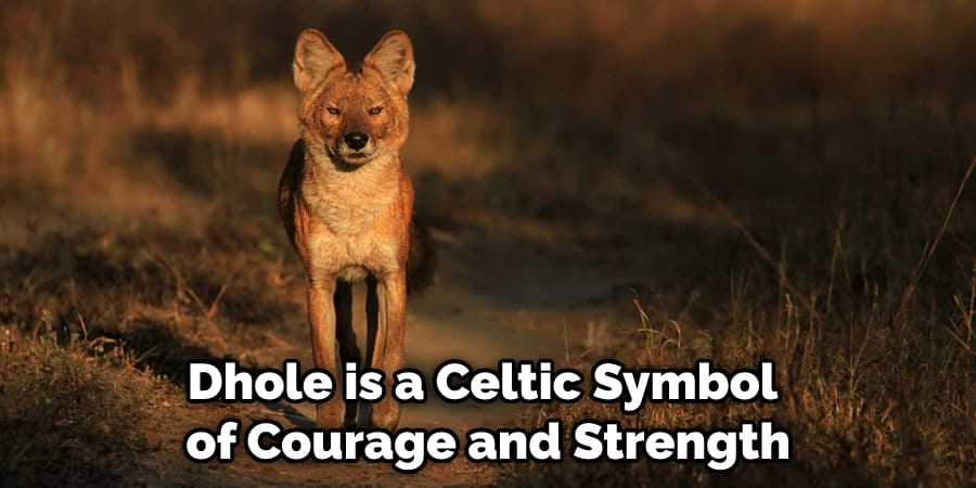 Dhole is a Celtic Symbol of Courage and Strength