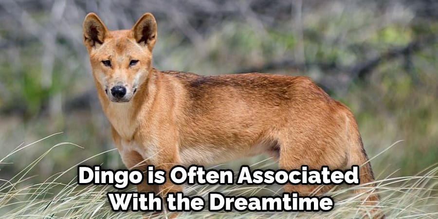 Dingo is Often Associated With the Dreamtime