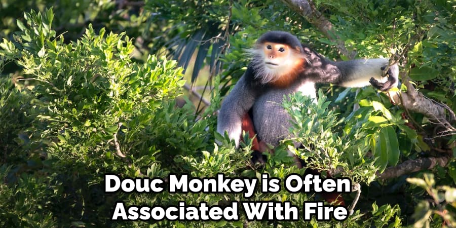 Douc Monkey is Often Associated With Fire