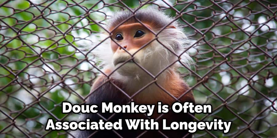 Douc Monkey is Often Associated With Longevity