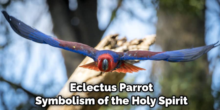 Eclectus Parrot Symbolism of the Holy Spirit