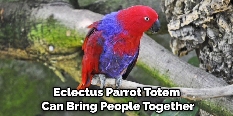 Eclectus Parrot Totem Can Bring People Together