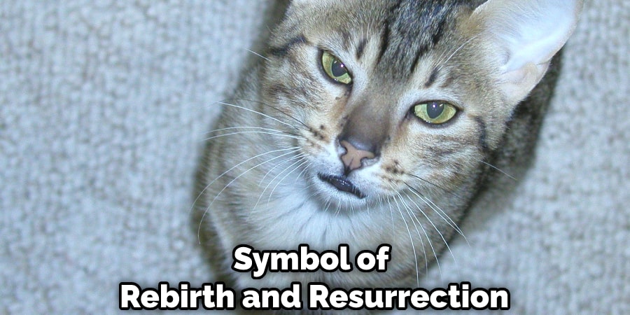 Egyptian Mau is Also a Symbol of Rebirth and Resurrection
