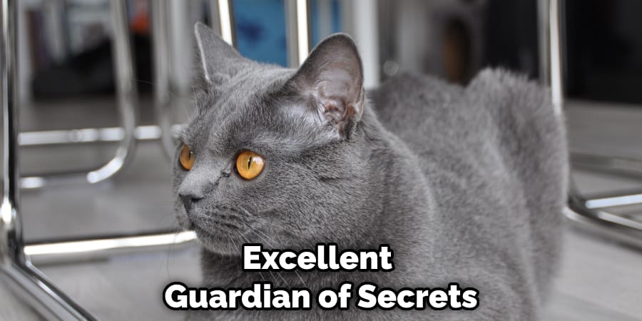 Excellent Guardian of Secrets
