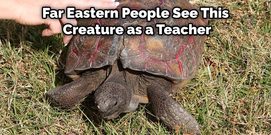 Far Eastern People See This Creature as a Teacher