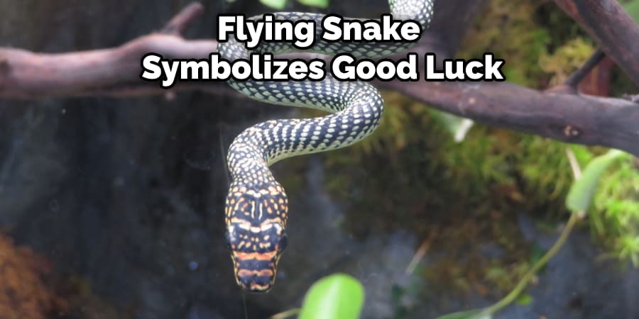 Flying Snake Symbolizes Good Luck