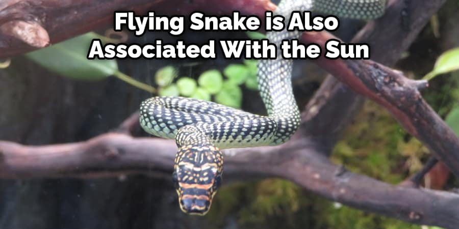 Flying Snake is Also Associated With the Sun
