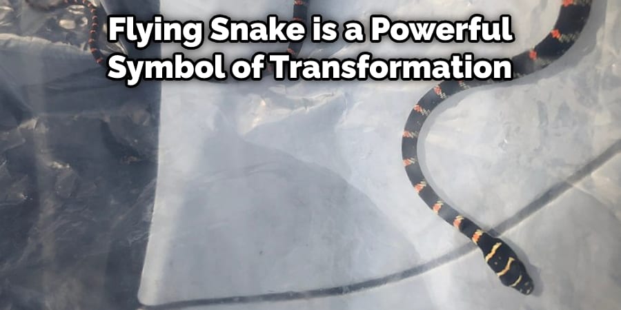 Flying Snake is a Powerful Symbol of Transformation