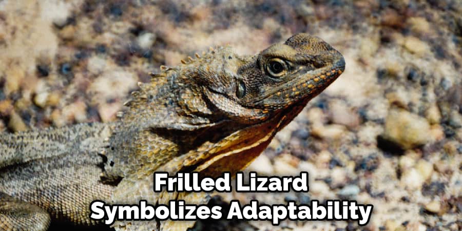  Frilled Lizard Symbolizes Adaptability