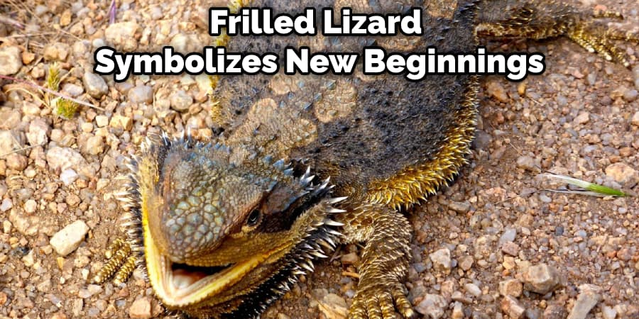Frilled Lizard Symbolizes New Beginnings