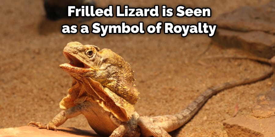 Frilled Lizard is Seen as a Symbol of Royalty