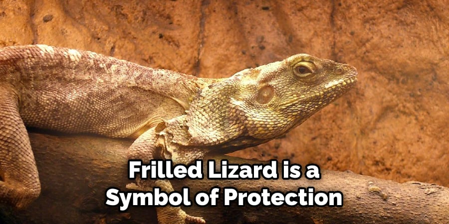  Frilled Lizard is a Symbol of Protection
