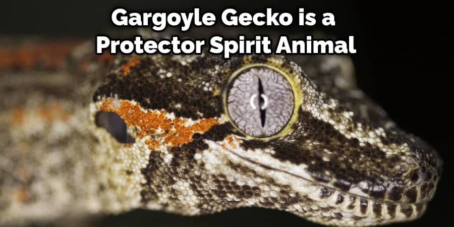 Gargoyle Gecko is a Protector Spirit Animal