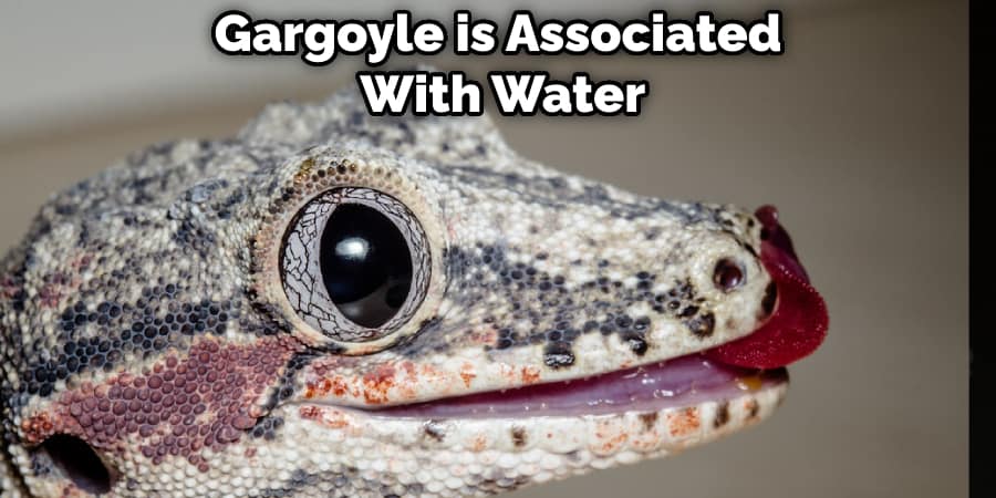 Gargoyle is Associated With Water