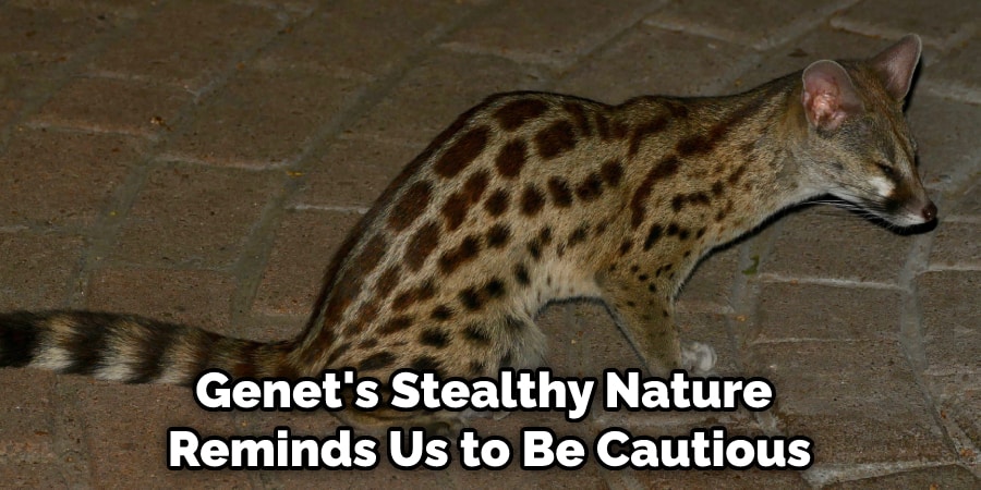  Genet's stealthy nature reminds us to be cautious 