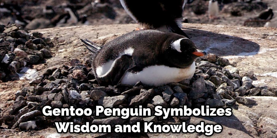 Gentoo Penguin Symbolizes Wisdom and Knowledge