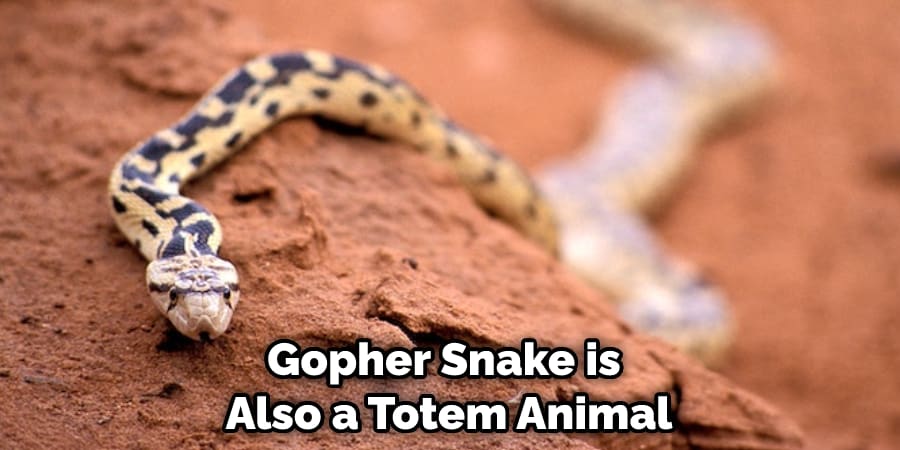 Gopher Snake is Also a Totem Animal