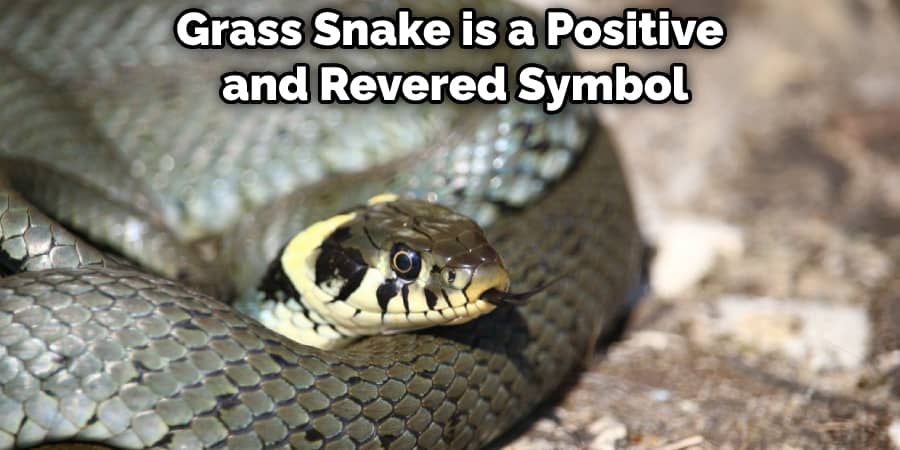 Grass Snake is a Positive and Revered Symbol