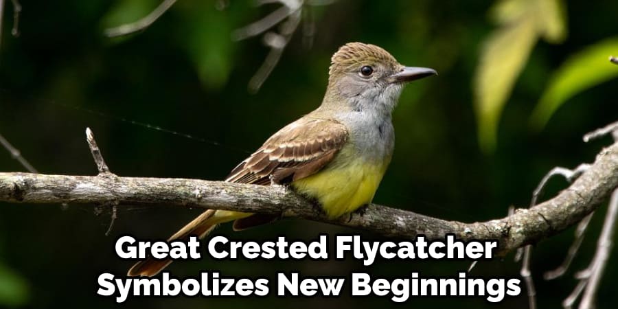 Great Crested Flycatcher Symbolizes New Beginnings