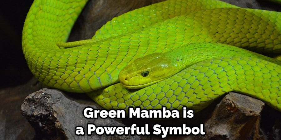 Green Mamba is a Powerful Symbol