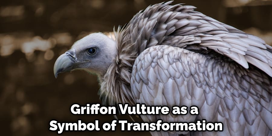 Griffon Vulture as a Symbol of Transformation