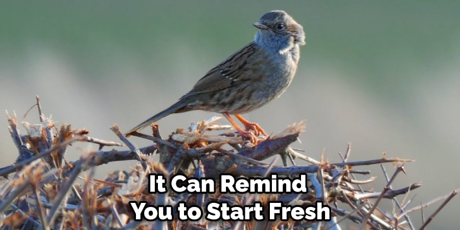 It Can Also Remind You to Start Fresh