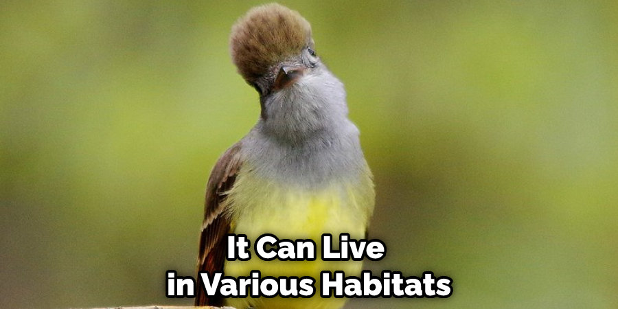 It Can Live in Various Habitats