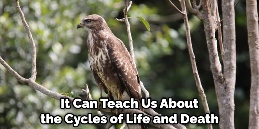  It Can Teach Us About the Cycles of Life and Death