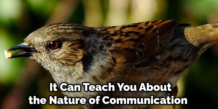  It Can Teach You About the Nature of Communication 
