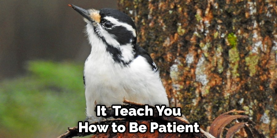 It Can Teach You How to Be Patient