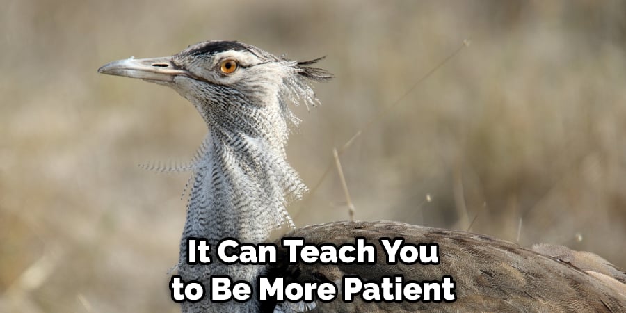 It Can Teach You to Be More Patient