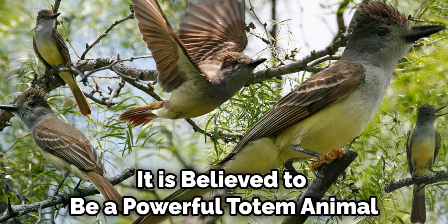 It is Believed to Be a Powerful Totem Animal