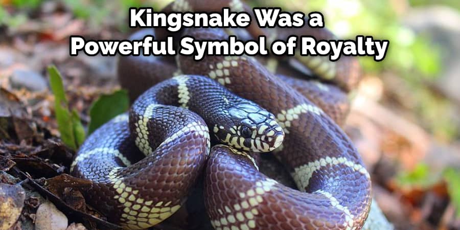 Kingsnake Was a Powerful Symbol of Royalty