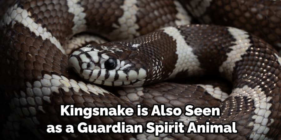 Kingsnake is Also Seen as a Guardian Spirit Animal