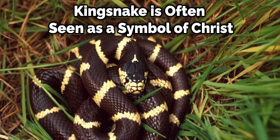Kingsnake is Often Seen as a Symbol of Christ