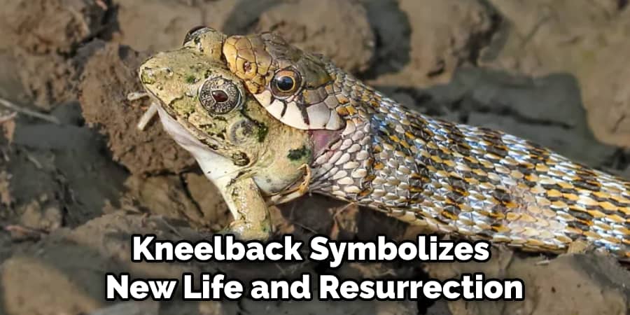 Kneelback Symbolizes New Life and Resurrection