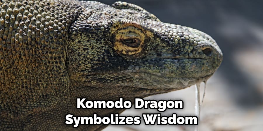 Komodo Dragon Symbolizes Wisdom