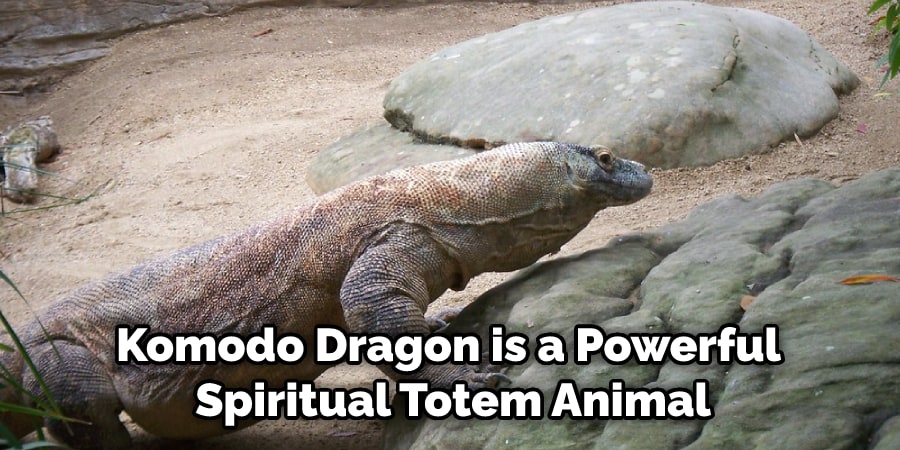 Komodo Dragon is a Powerful Spiritual Totem Animal