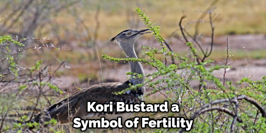 Kori Bustard a Symbol of Fertility