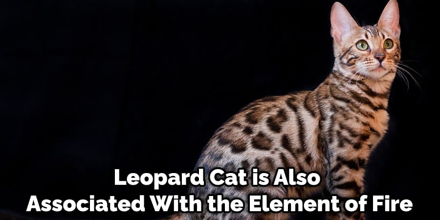 Leopard Cat is Also Associated With the Element of Fire