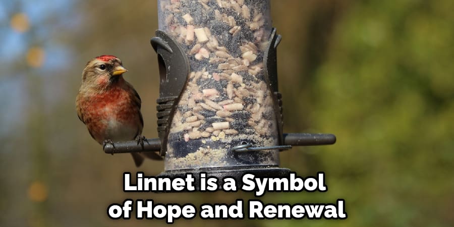 Linnet is a Symbol of Hope and Renewal