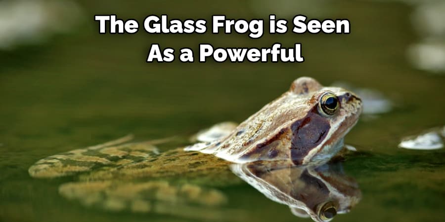 The Glass Frog is Seen  As a Powerful