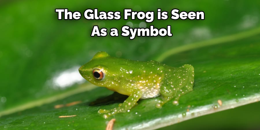 The Glass Frog is Seen  As a Symbol