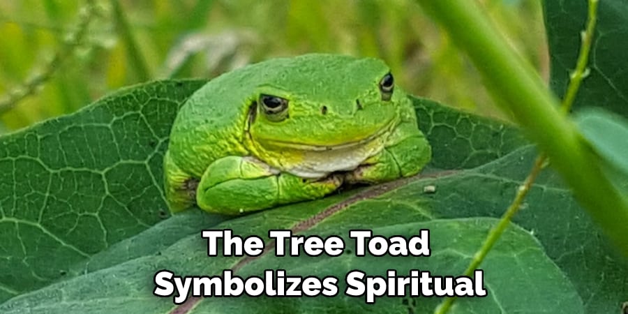 The Tree Toad  Symbolizes Spiritual