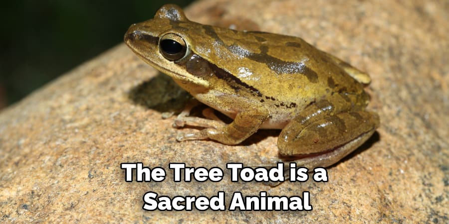 The Tree Toad is a  Sacred Animal