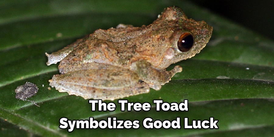 The Tree Toad Symbolizes Good Luck