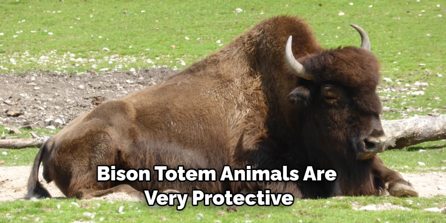 Bison Totem Animals Are  Very Protective