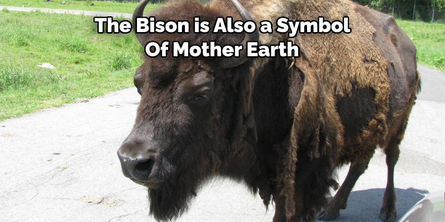 The Bison is Also a Symbol  Of Mother Earth 